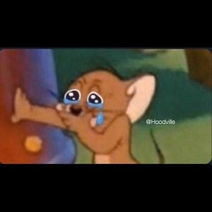 Meet your Posher, Dillon